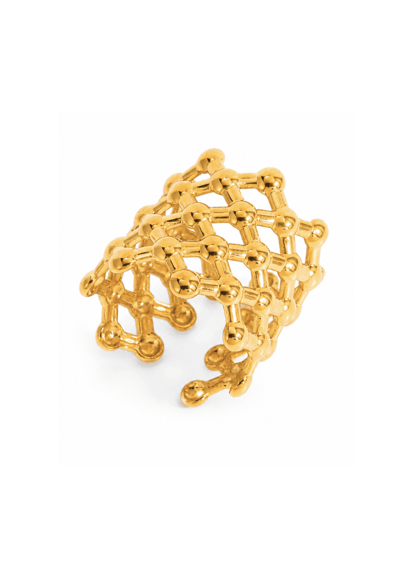 Golden Matrix Ring